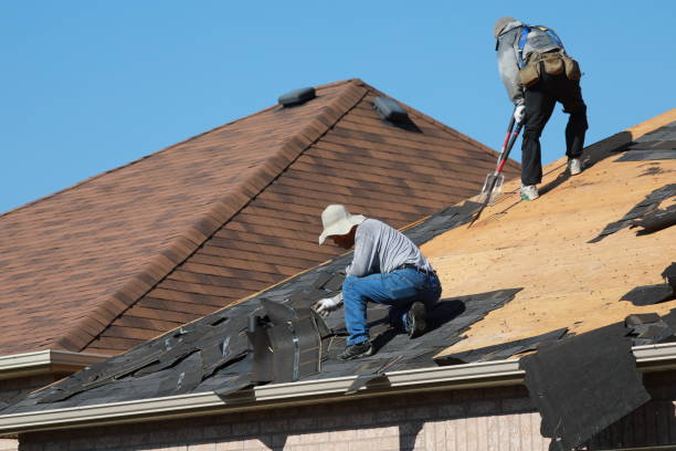 Best Roof Moss and Algae Removal  in Whitehouse, OH